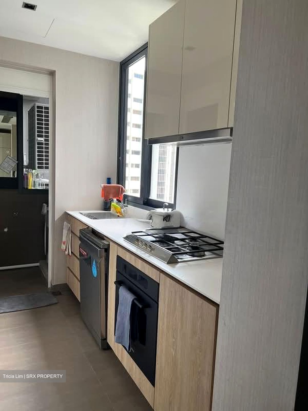 OUE Twin Peaks (D9), Condominium #538021401